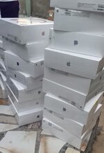 IMG_7639.jpeg