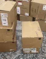 IMG_7641.jpeg